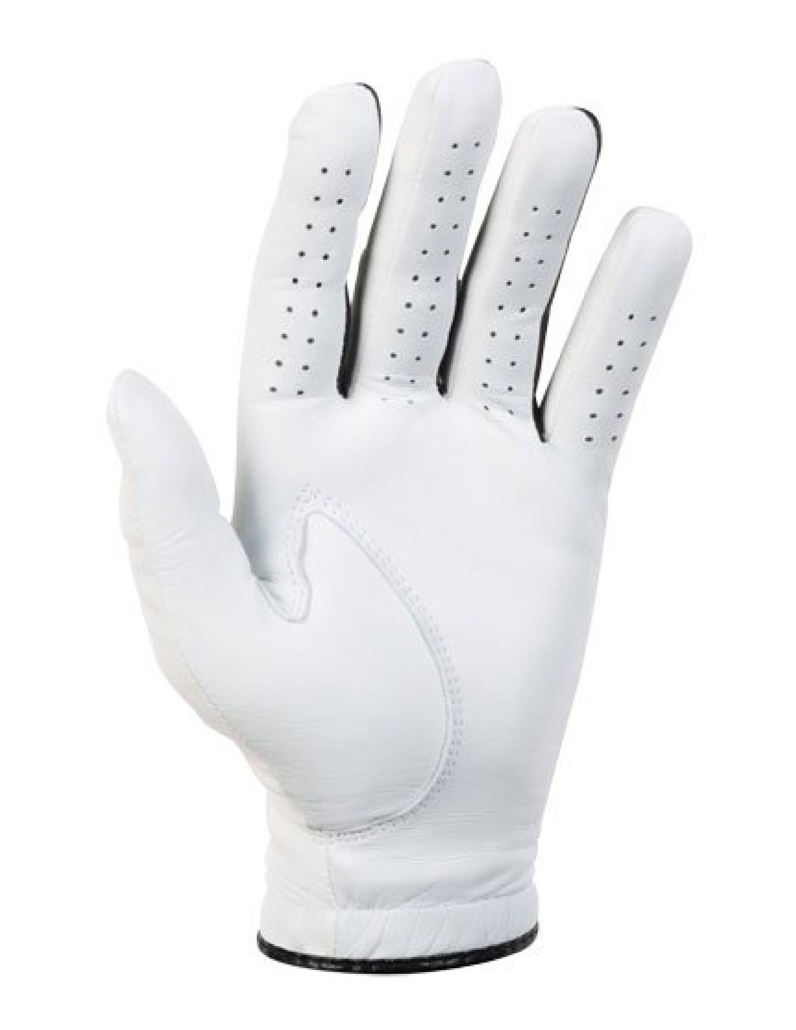 8.1.1 Eagle Glove